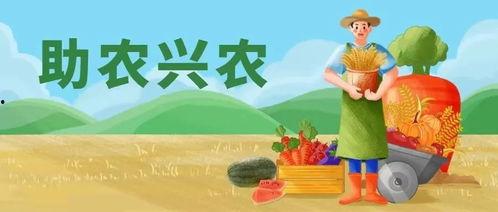 吃瓜之王知乎免费阅读,知乎免费阅读背后的故事  第1张